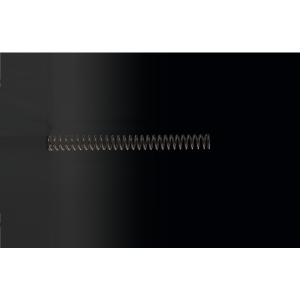 Kawasaki Optional front fork spring